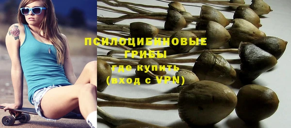 трава Нефтекумск