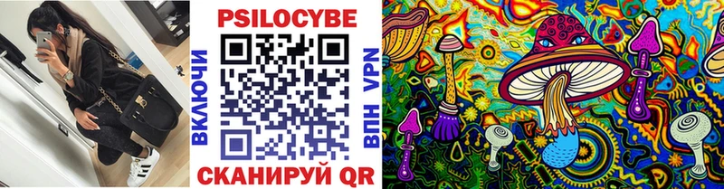 где купить наркоту  Южно-Сухокумск  Галлюциногенные грибы мухоморы 